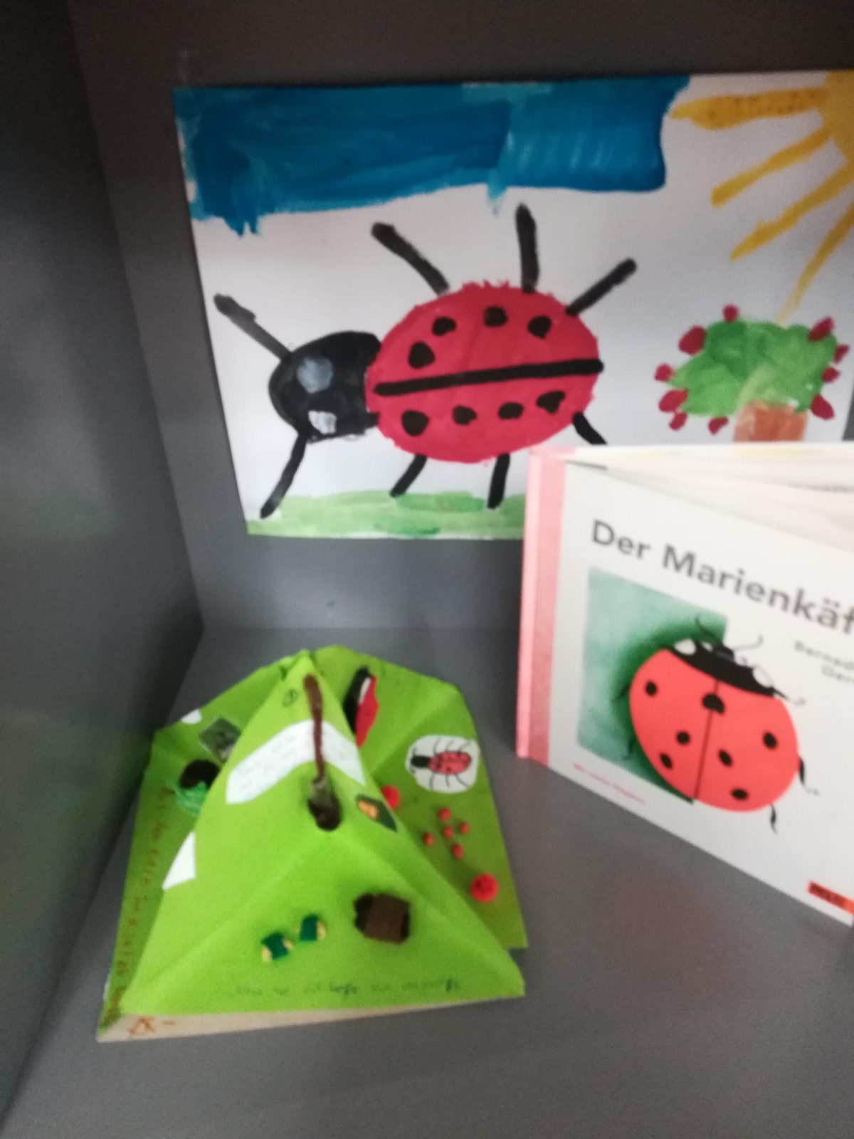  Projekt: Marienkäfer in der MSTA – Praxis Volksschule Illustration 